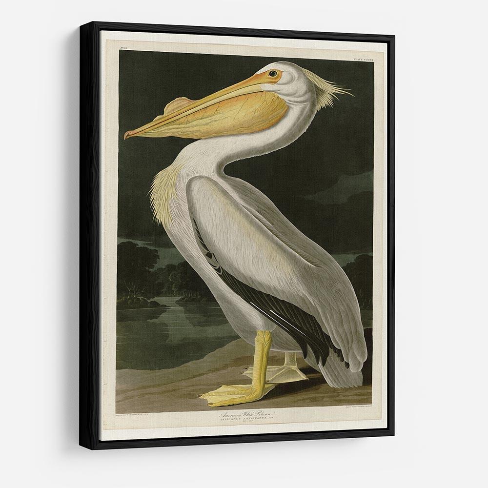 American White Pelican by Audubon HD Metal Print - Canvas Art Rocks - 6