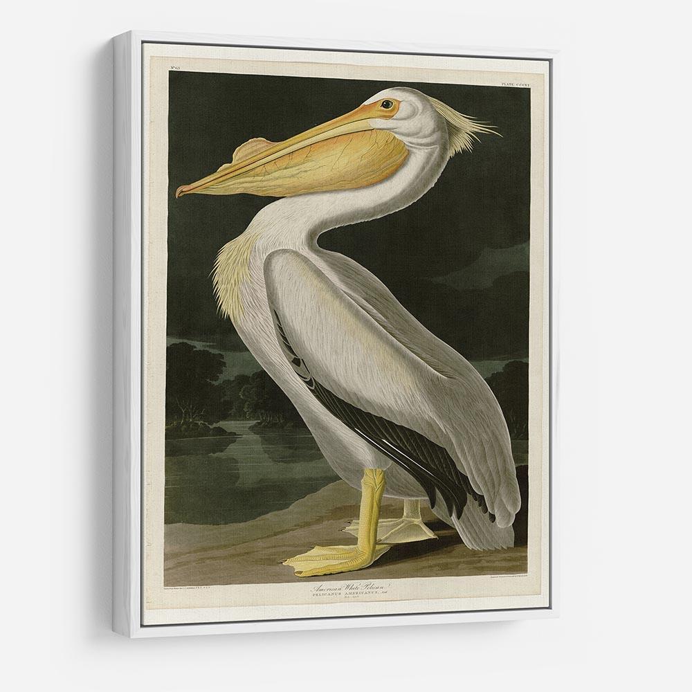 American White Pelican by Audubon HD Metal Print - Canvas Art Rocks - 7