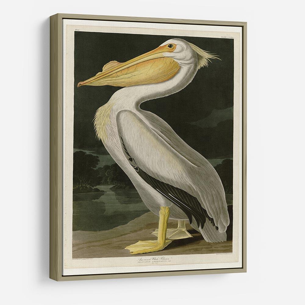 American White Pelican by Audubon HD Metal Print - Canvas Art Rocks - 8