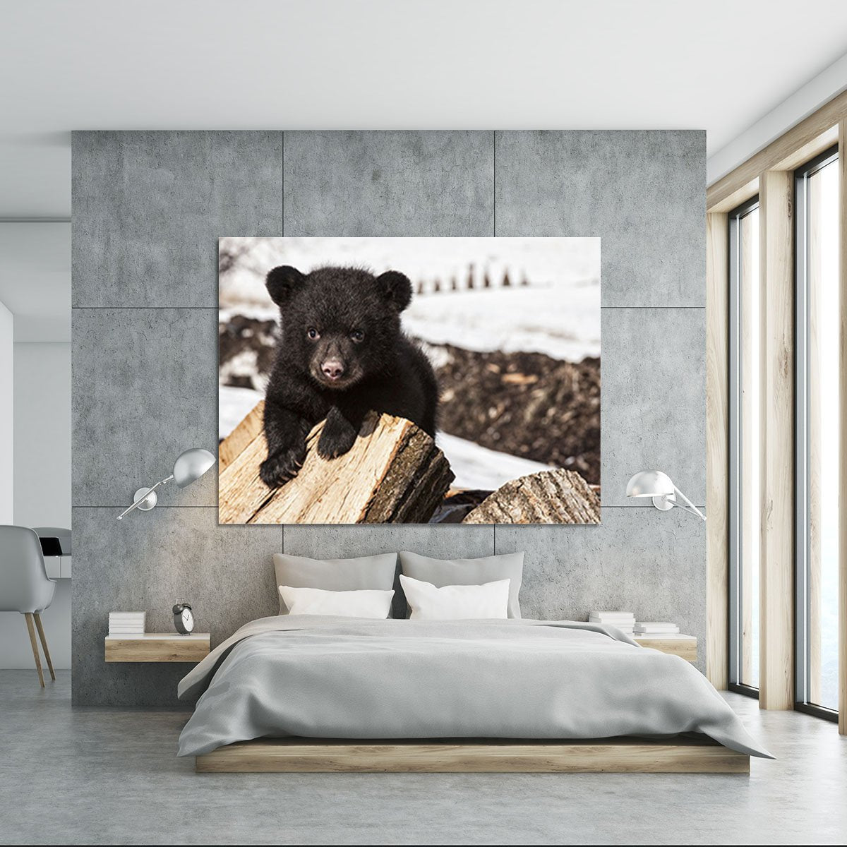 American black bear cub Canvas Print or Poster