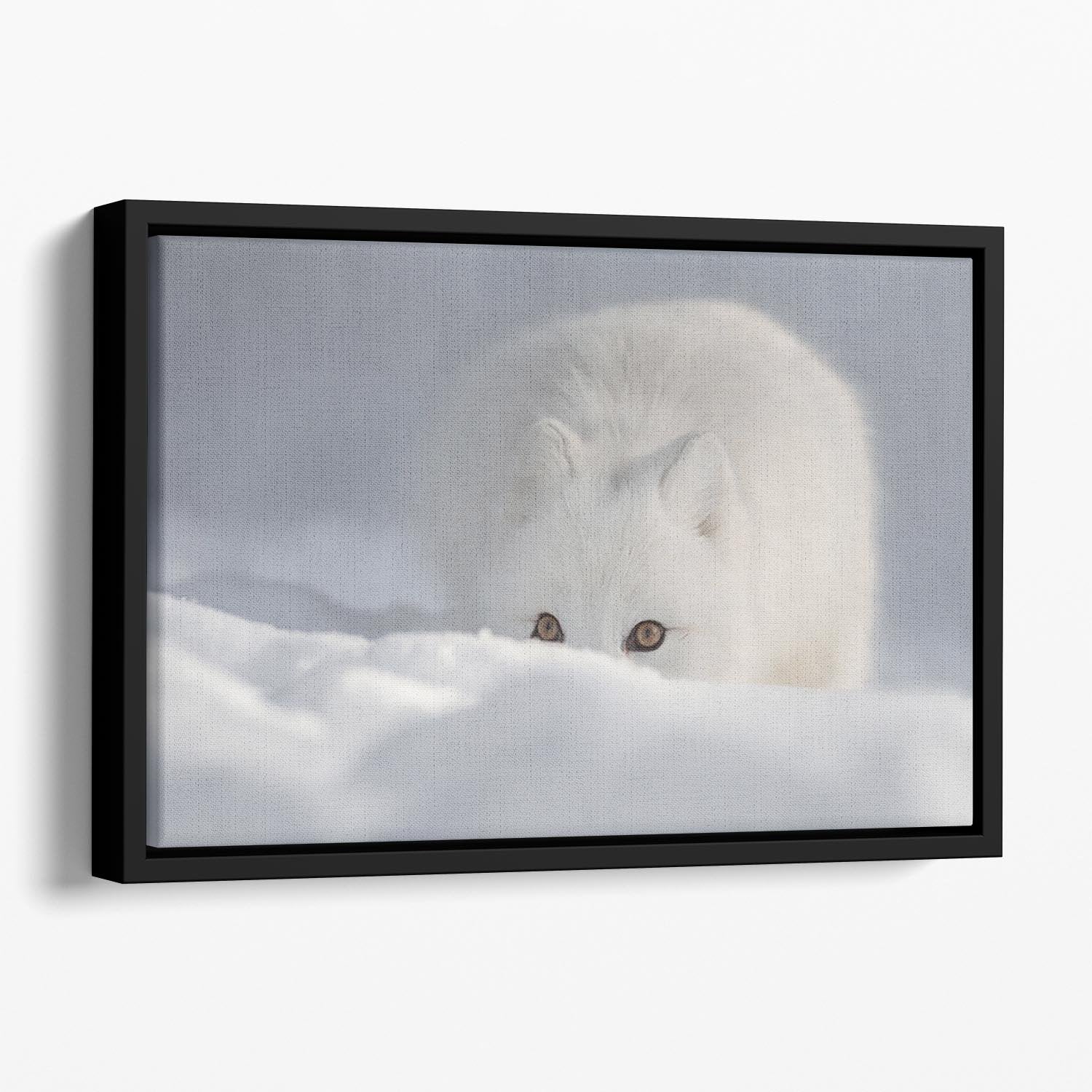 An Arctic Fox peering over a snow drift Floating Framed Canvas - Canvas Art Rocks - 1