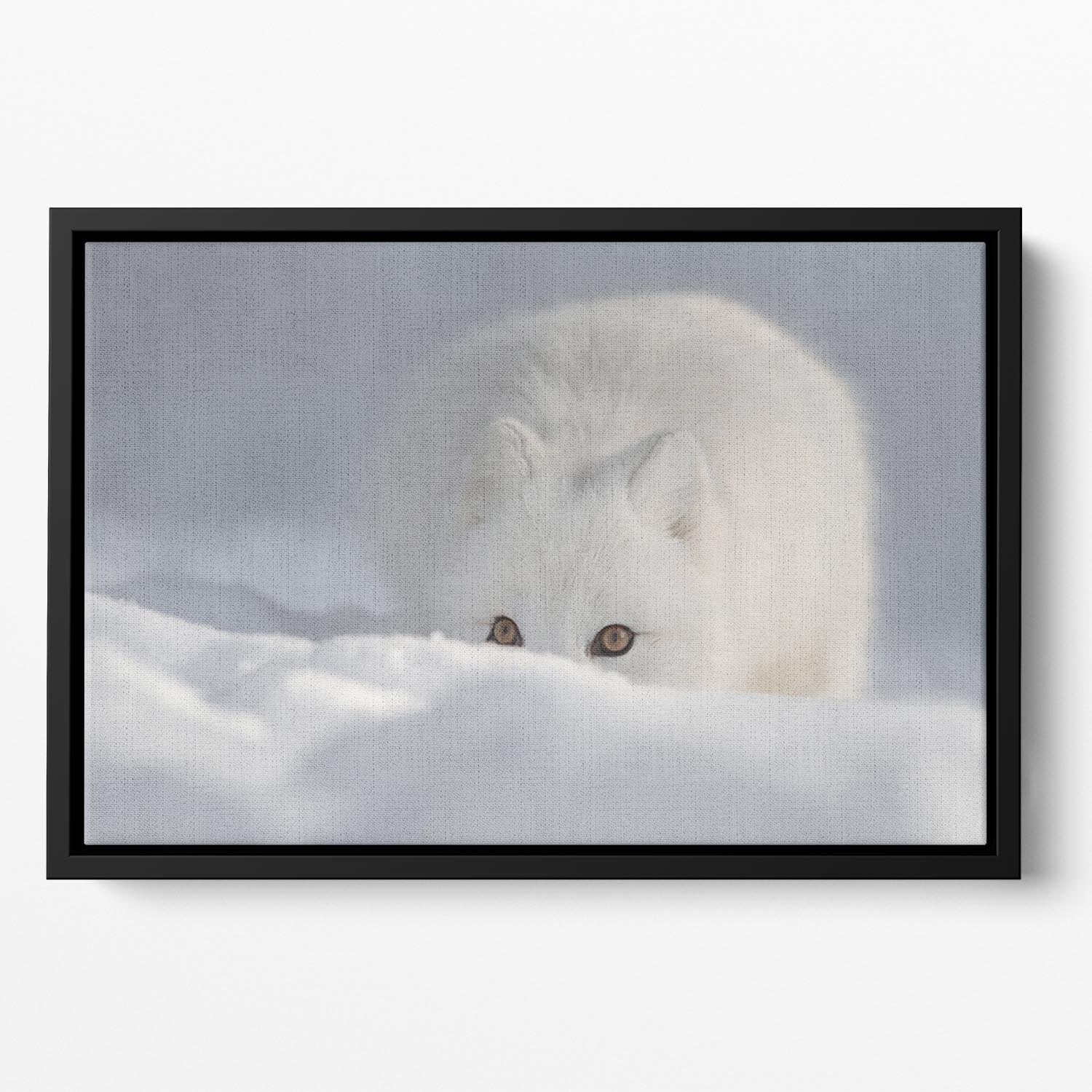 An Arctic Fox peering over a snow drift Floating Framed Canvas - Canvas Art Rocks - 2