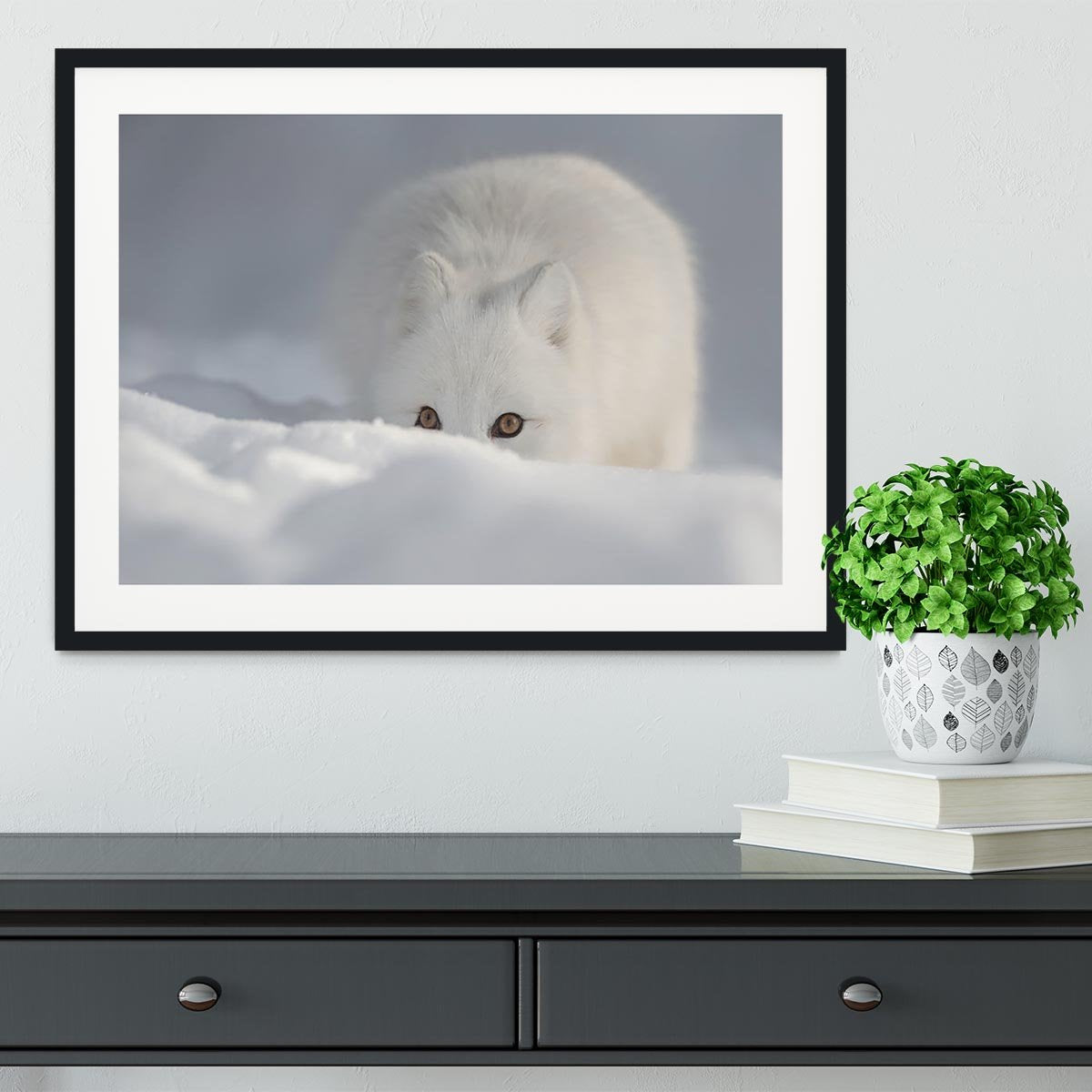 An Arctic Fox peering over a snow drift Framed Print - Canvas Art Rocks - 1