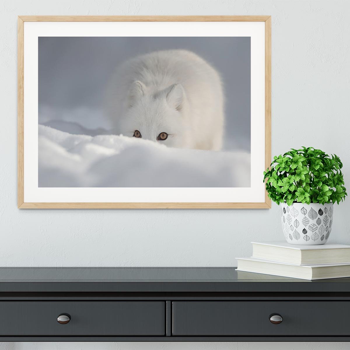An Arctic Fox peering over a snow drift Framed Print - Canvas Art Rocks - 3
