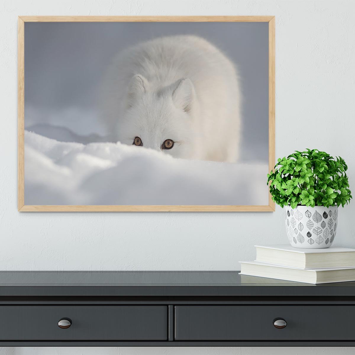 An Arctic Fox peering over a snow drift Framed Print - Canvas Art Rocks - 4
