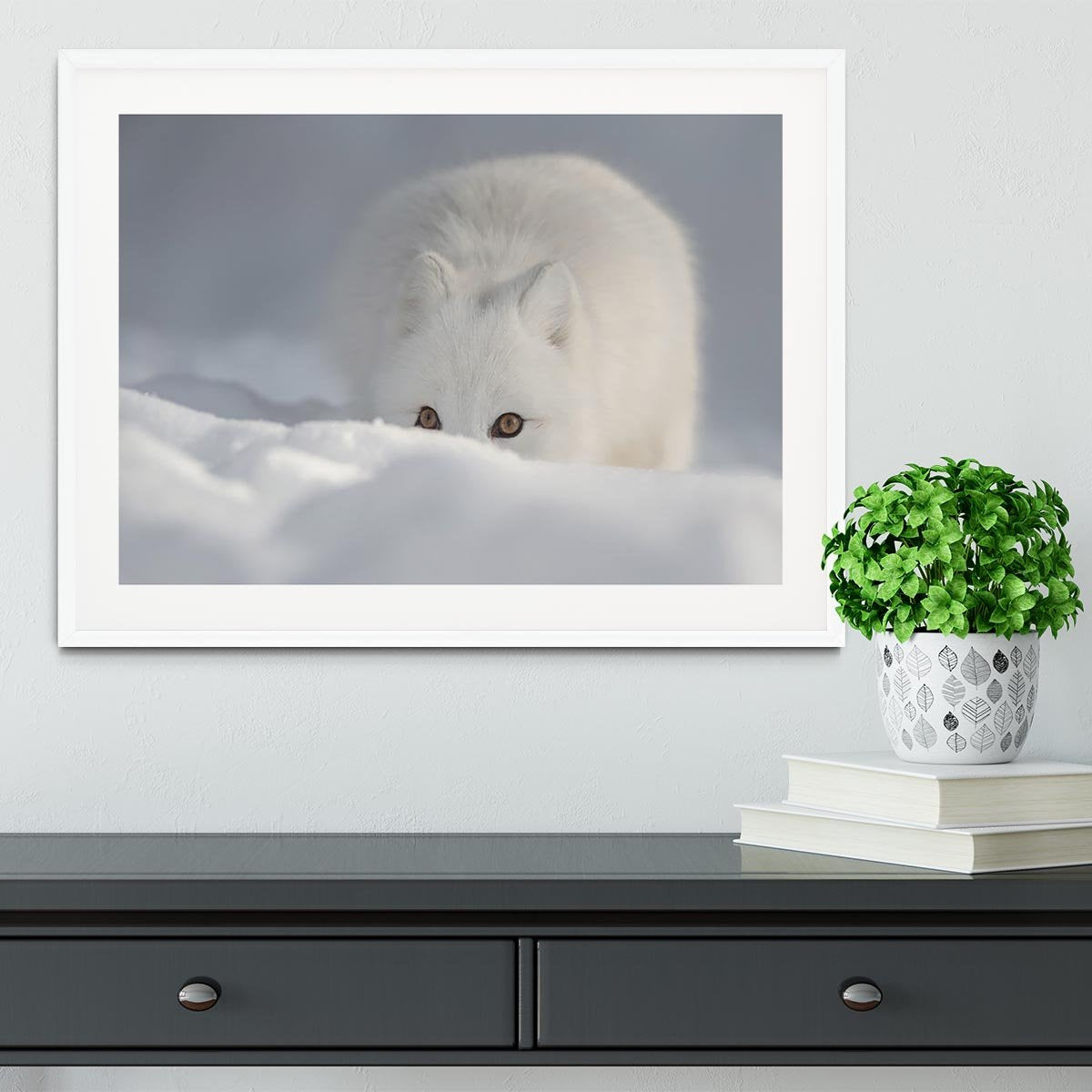 An Arctic Fox peering over a snow drift Framed Print - Canvas Art Rocks - 5