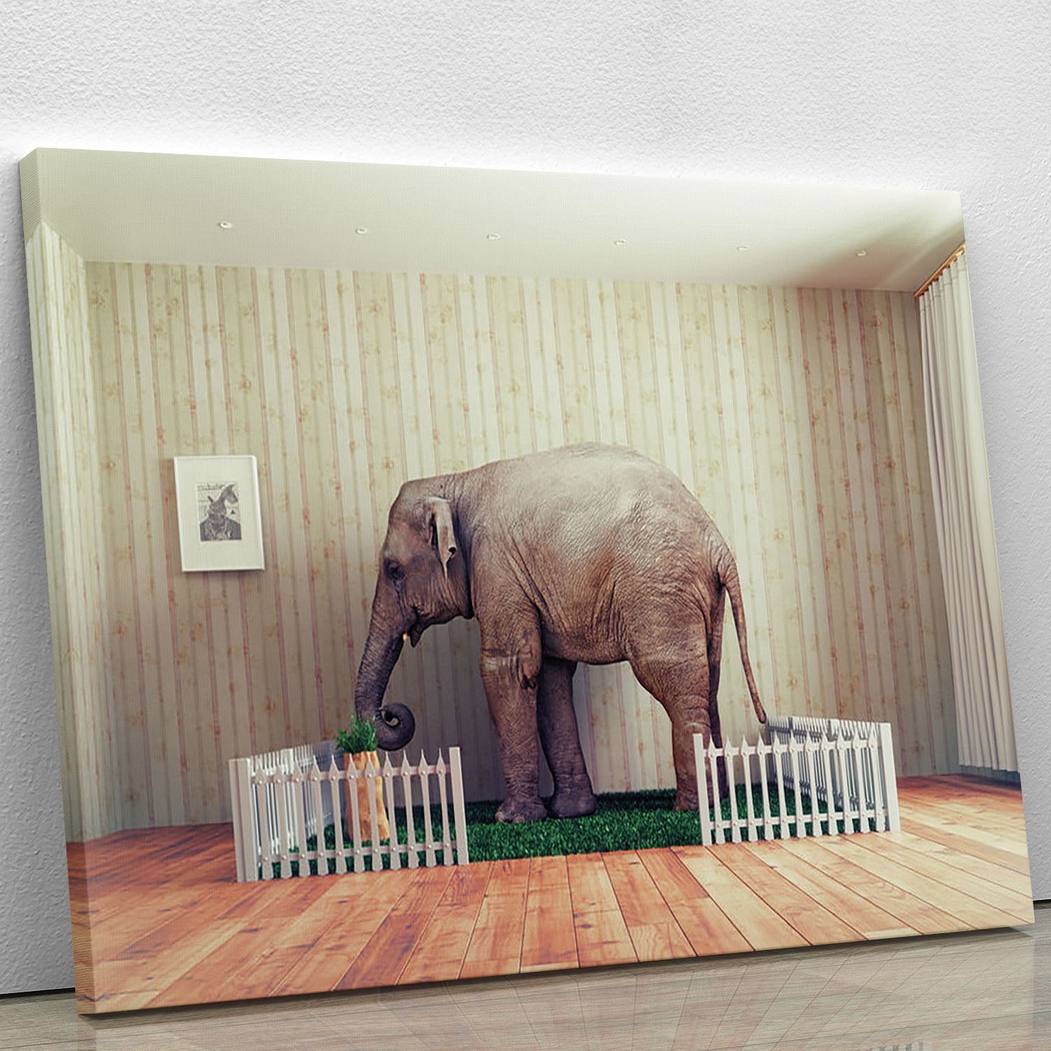 An Elephant calf as the pet Canvas Print or Poster