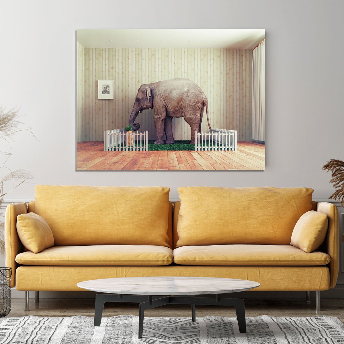 An Elephant calf as the pet Canvas Print or Poster