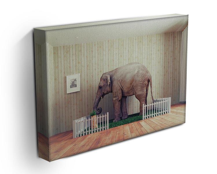 An Elephant calf as the pet Canvas Print or Poster - Canvas Art Rocks - 3