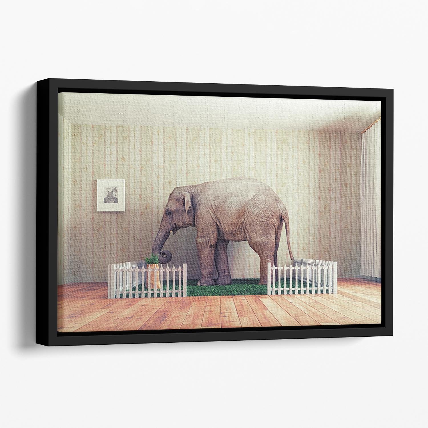 An Elephant calf as the pet Floating Framed Canvas - Canvas Art Rocks - 1