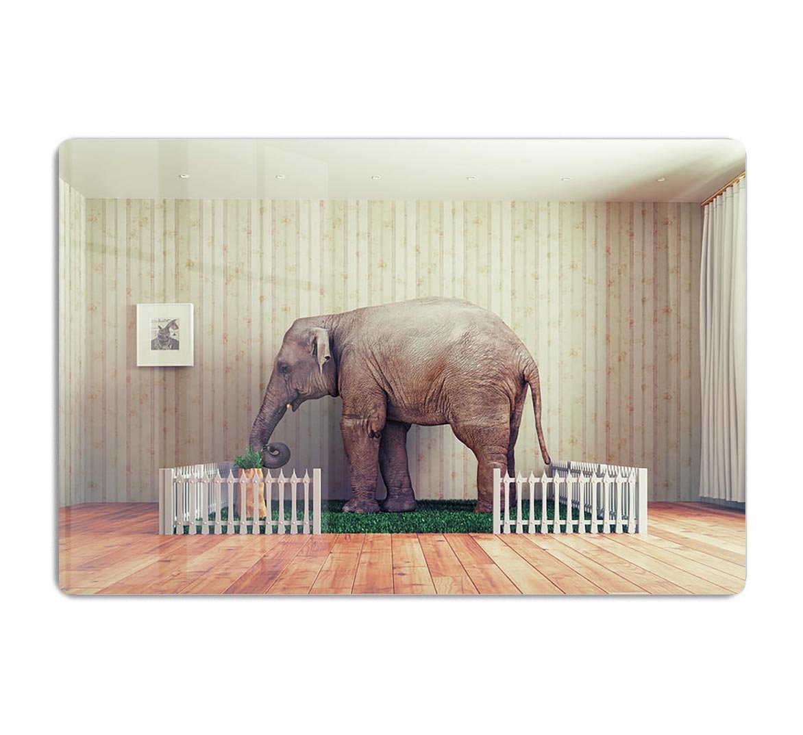 An Elephant calf as the pet HD Metal Print - Canvas Art Rocks - 1