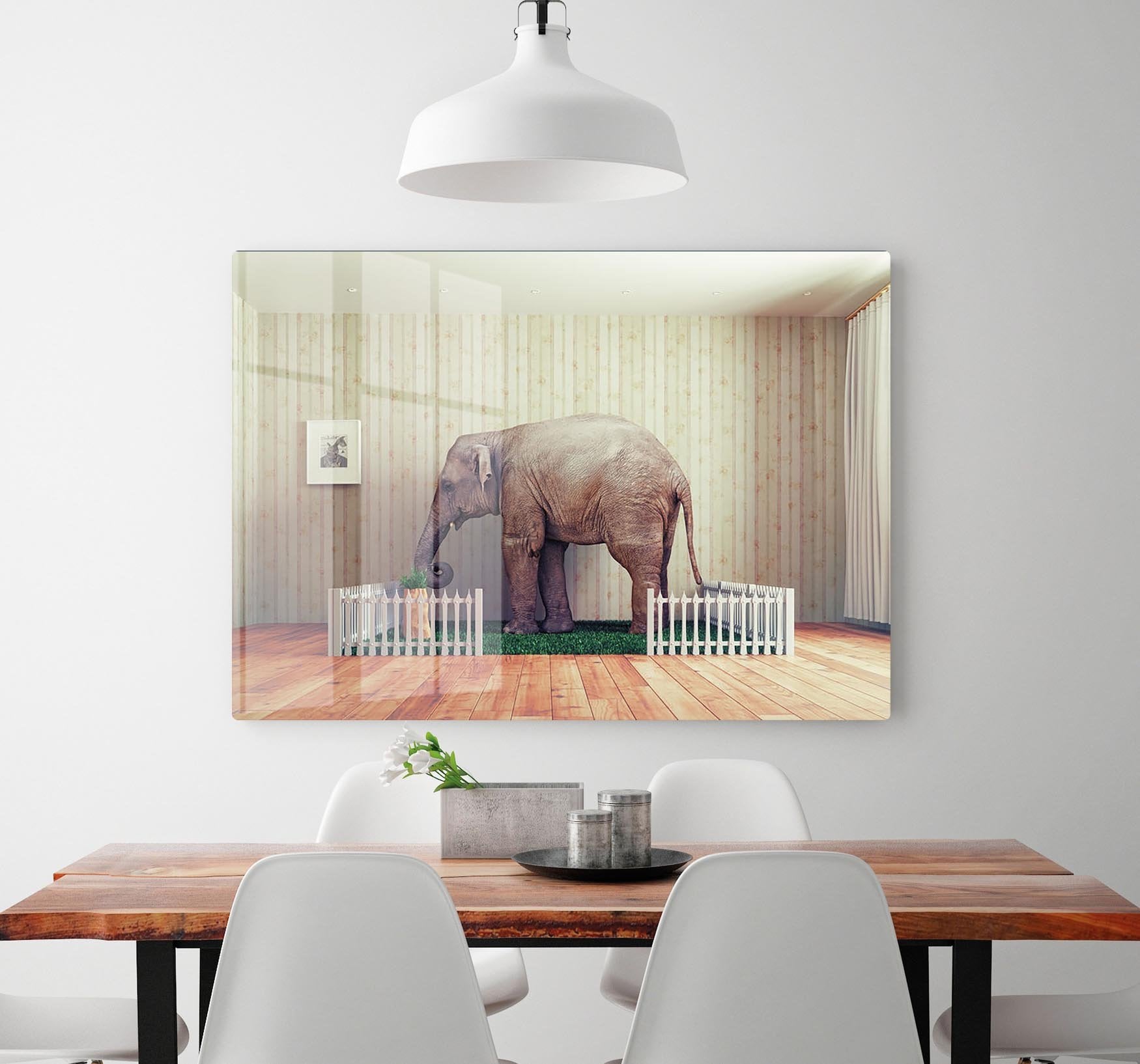 An Elephant calf as the pet HD Metal Print - Canvas Art Rocks - 2