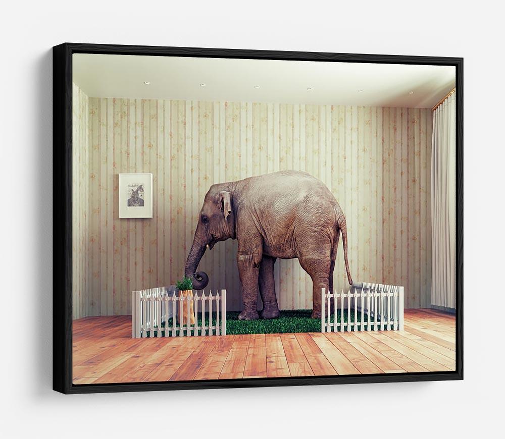 An Elephant calf as the pet HD Metal Print - Canvas Art Rocks - 6