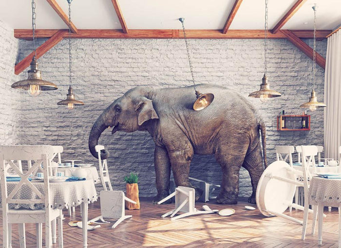 An elephant calm in a restaurant interior Wall Mural Wallpaper