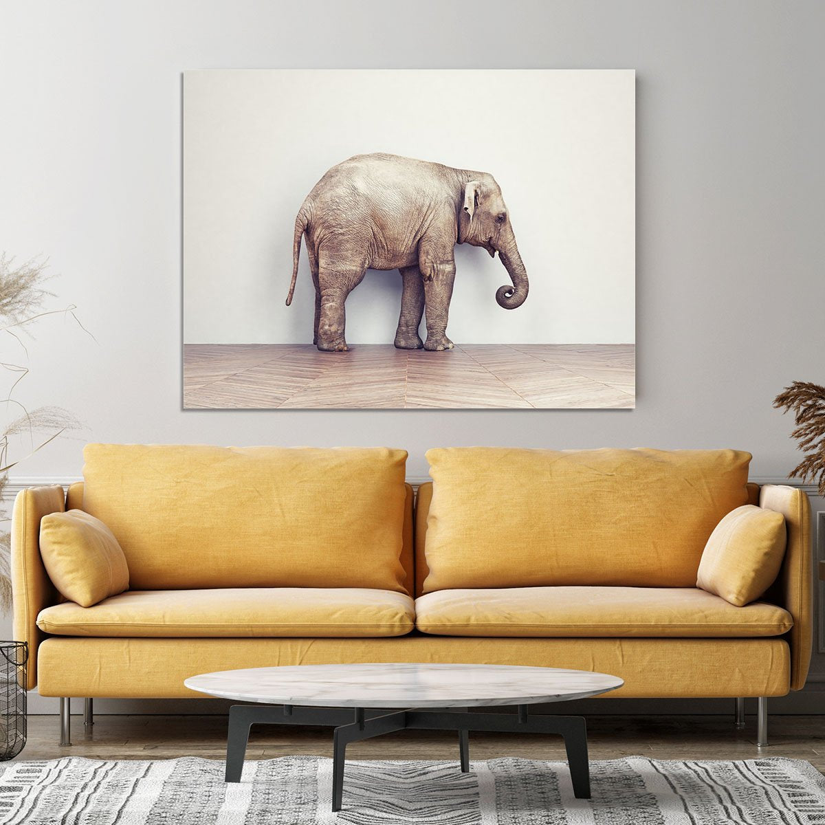 An elephant calm in the room near white wall. Creative concept Canvas Print or Poster