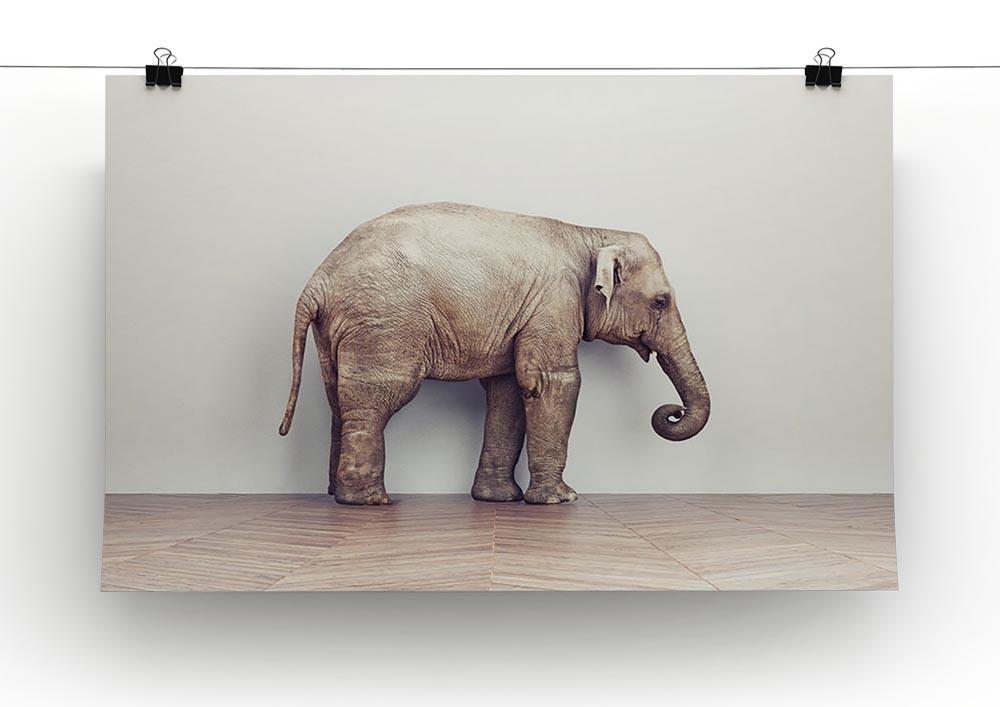 An elephant calm in the room near white wall. Creative concept Canvas Print or Poster - Canvas Art Rocks - 2