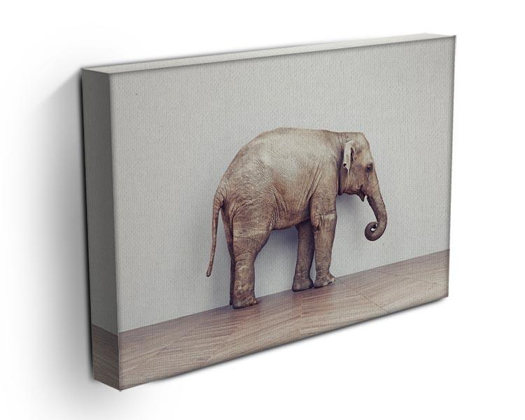 An elephant calm in the room near white wall. Creative concept Canvas Print or Poster - Canvas Art Rocks - 3