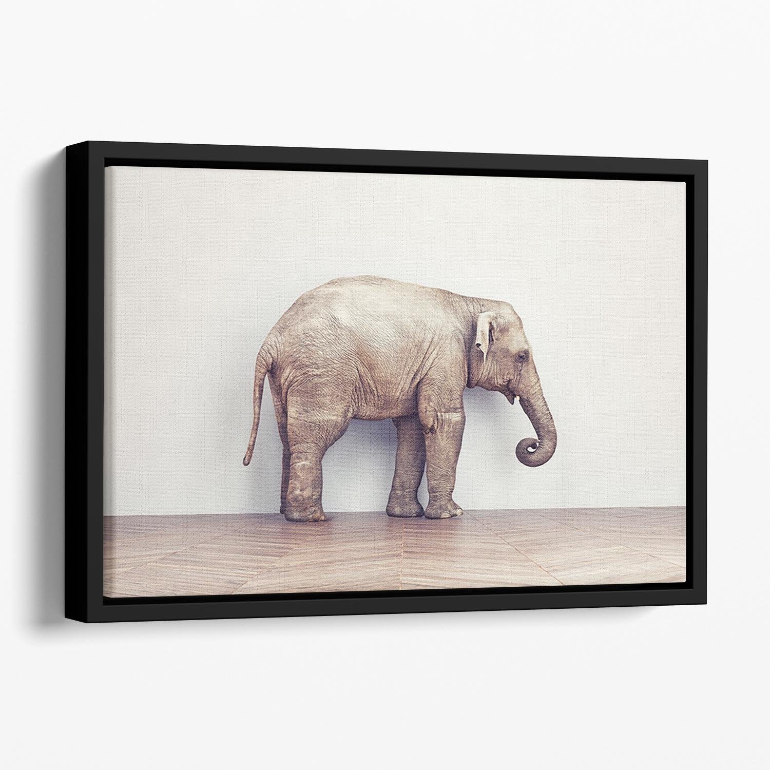 An elephant calm in the room near white wall. Creative concept Floating Framed Canvas - Canvas Art Rocks - 1