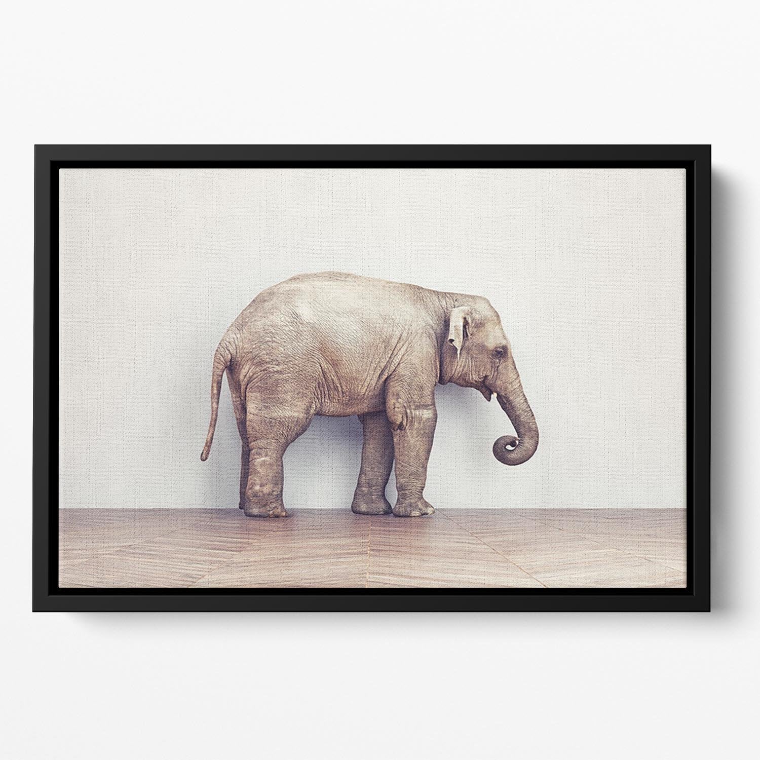 An elephant calm in the room near white wall. Creative concept Floating Framed Canvas - Canvas Art Rocks - 2