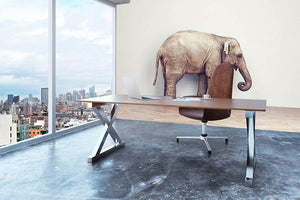 An elephant calm in the room near white wall. Creative concept Wall Mural Wallpaper - Canvas Art Rocks - 3