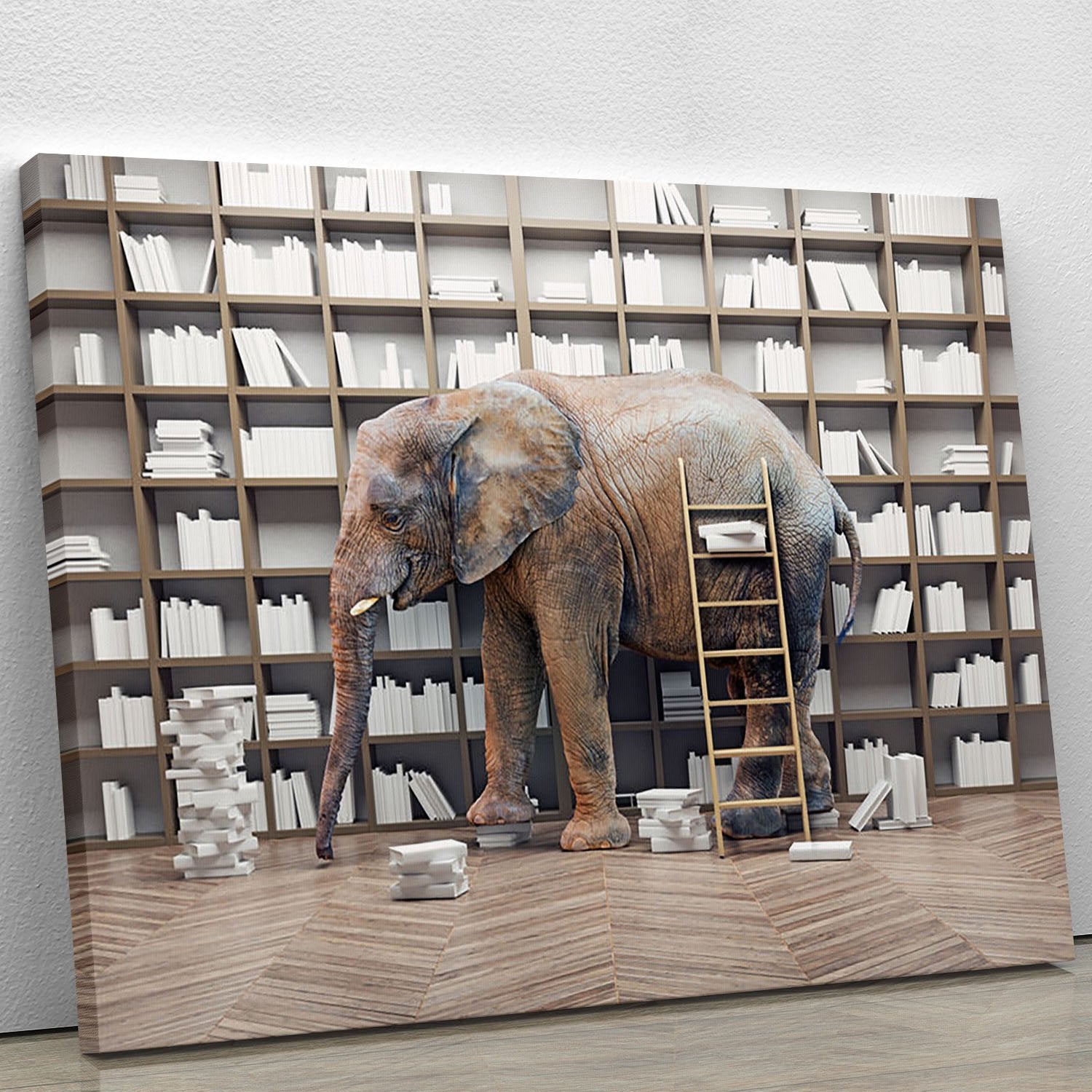 An elephant in the room with book shelves Canvas Print or Poster