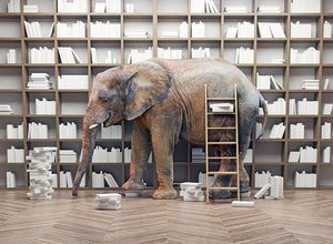 An elephant in the room with book shelves Wall Mural Wallpaper - Canvas Art Rocks - 1