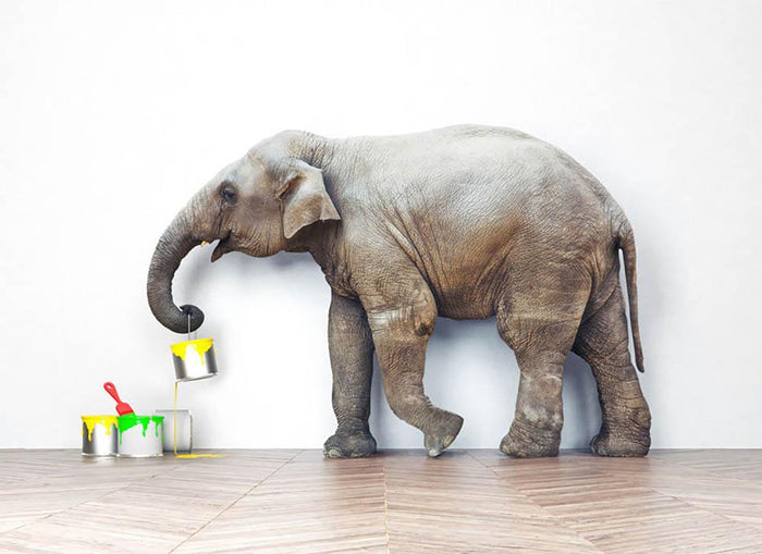 An elephant with paint cans Wall Mural Wallpaper