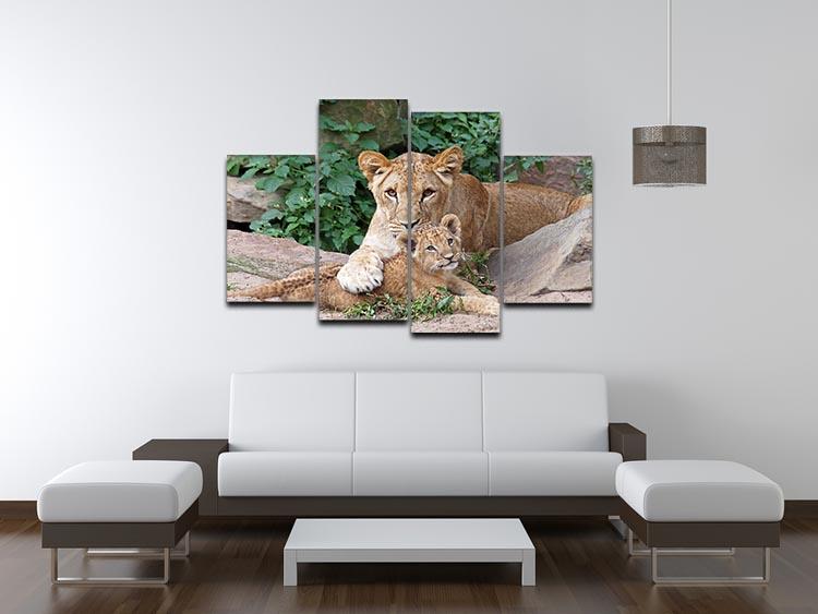 An older lioness is playing with her baby sister 4 Split Panel Canvas - Canvas Art Rocks - 3