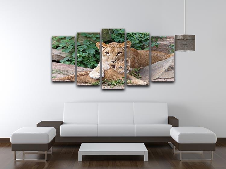 An older lioness is playing with her baby sister 5 Split Panel Canvas - Canvas Art Rocks - 3