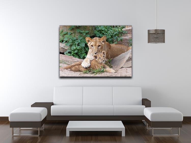 An older lioness is playing with her baby sister Canvas Print or Poster - Canvas Art Rocks - 4