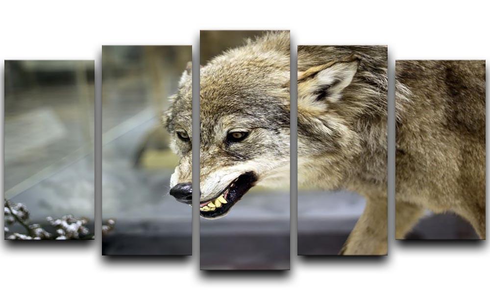 Angry grey wolf in winter forest 5 Split Panel Canvas - Canvas Art Rocks - 1