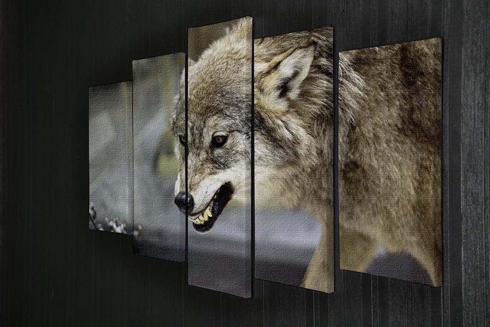 Angry grey wolf in winter forest 5 Split Panel Canvas - Canvas Art Rocks - 2