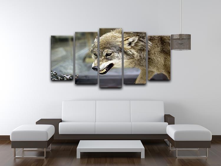 Angry grey wolf in winter forest 5 Split Panel Canvas - Canvas Art Rocks - 3