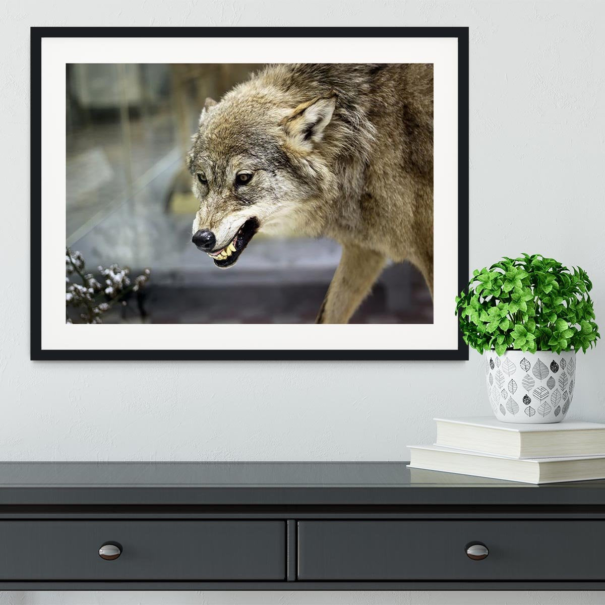 Angry grey wolf in winter forest Framed Print - Canvas Art Rocks - 1