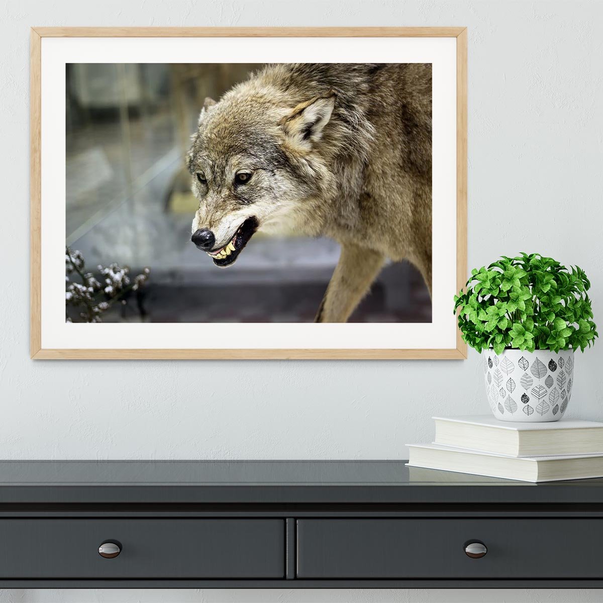 Angry grey wolf in winter forest Framed Print - Canvas Art Rocks - 3