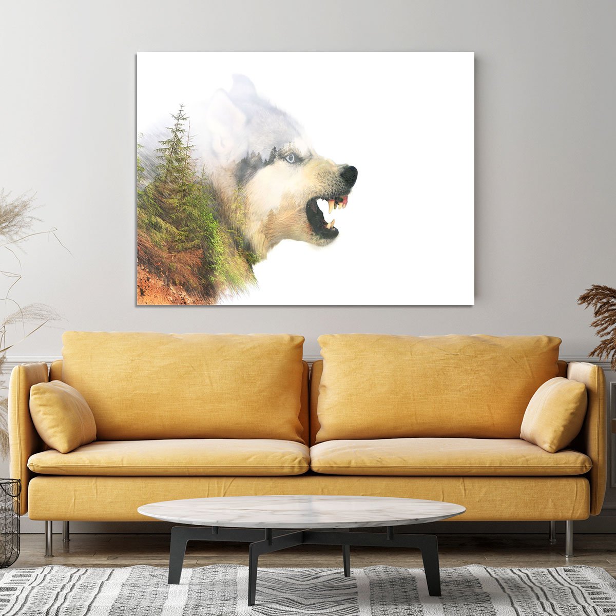 Angry siberian husky dog Canvas Print or Poster