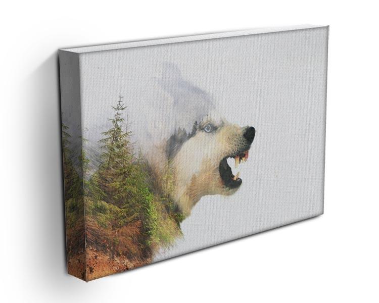 Angry siberian husky dog Canvas Print or Poster - Canvas Art Rocks - 3