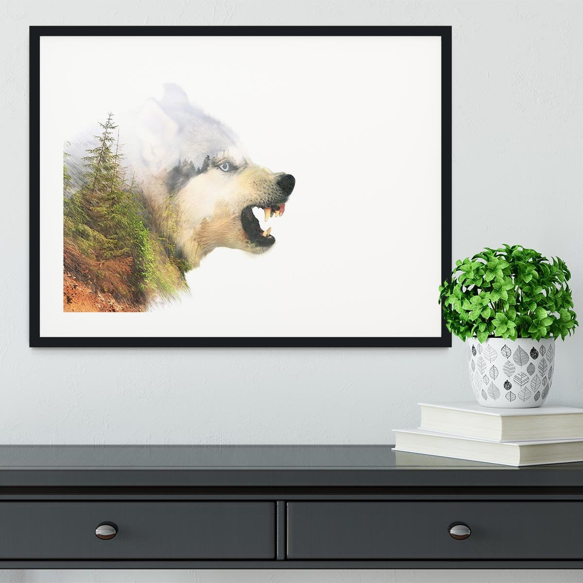Angry siberian husky dog Framed Print - Canvas Art Rocks - 1