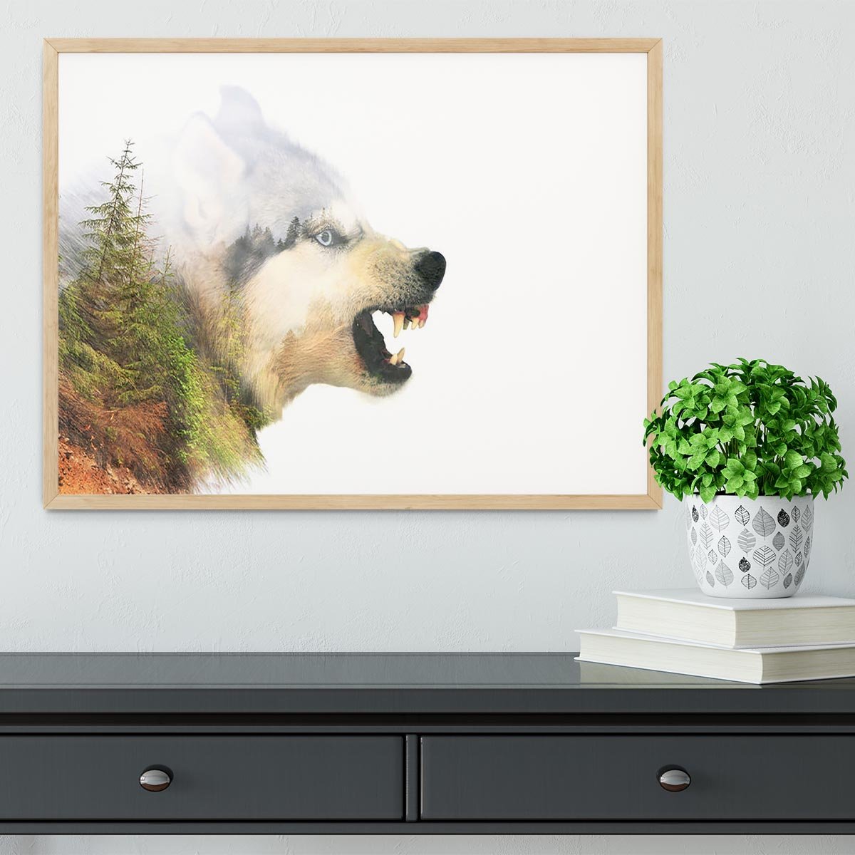 Angry siberian husky dog Framed Print - Canvas Art Rocks - 4