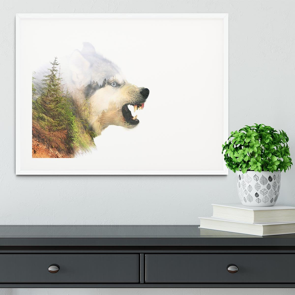 Angry siberian husky dog Framed Print - Canvas Art Rocks - 5
