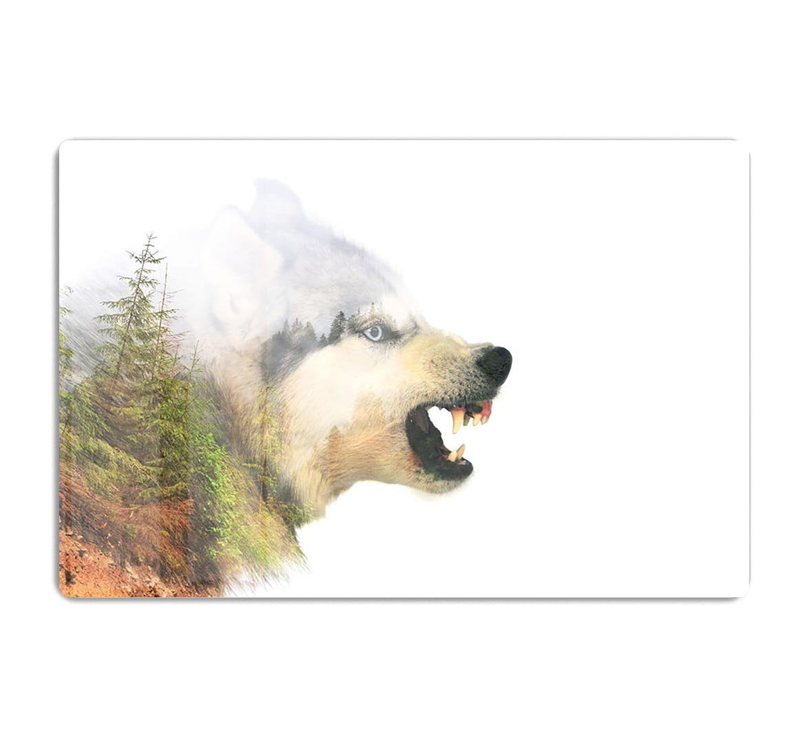 Angry siberian husky dog HD Metal Print - Canvas Art Rocks - 1