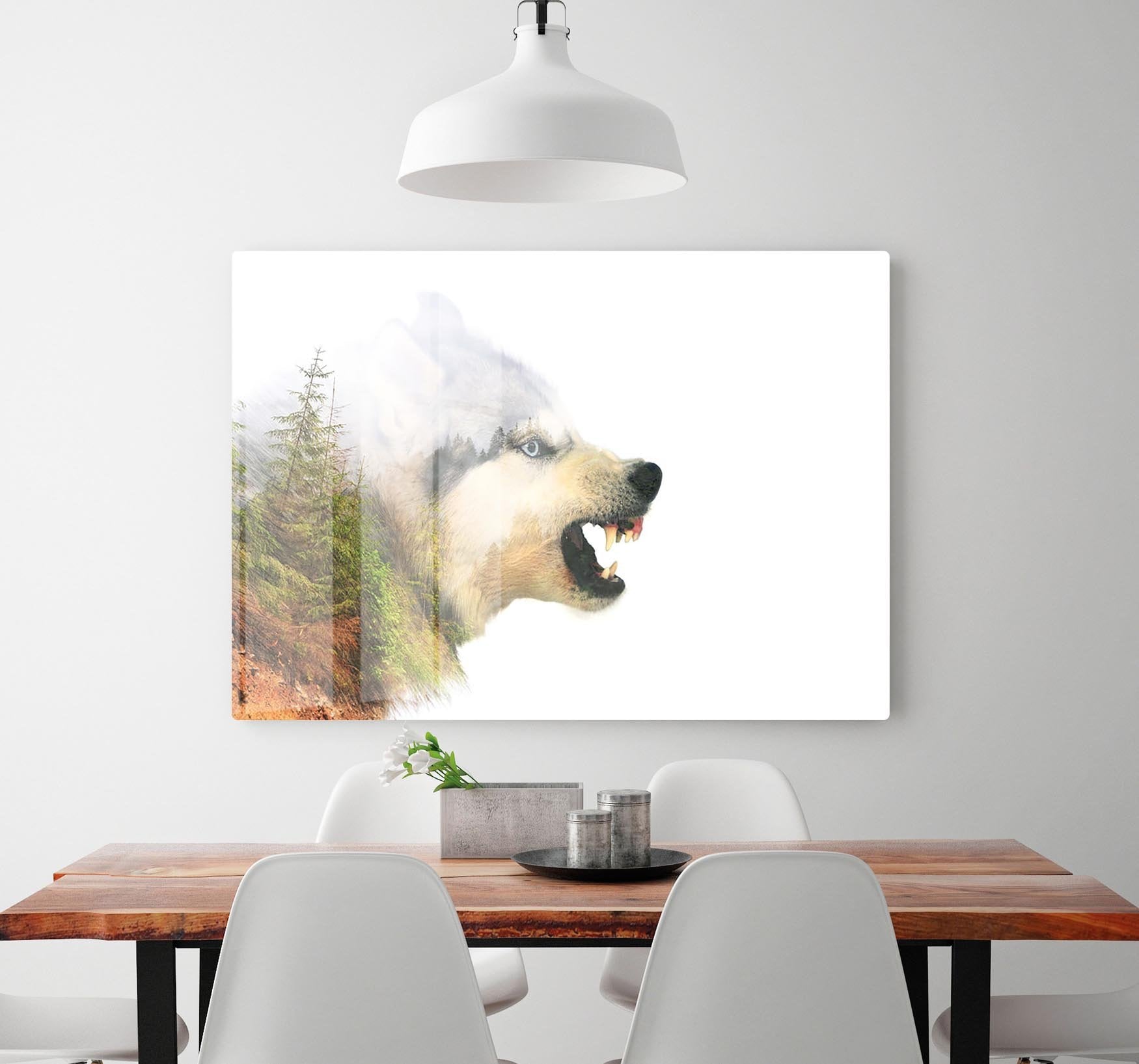 Angry siberian husky dog HD Metal Print - Canvas Art Rocks - 2