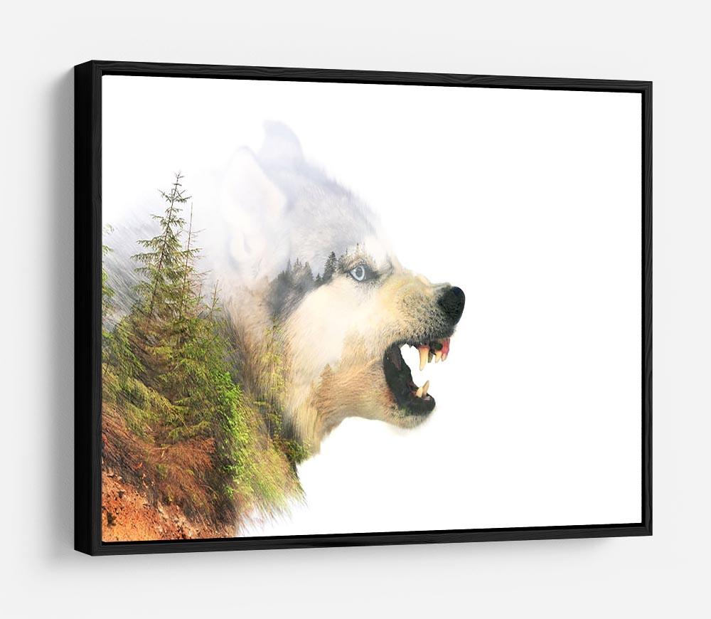 Angry siberian husky dog HD Metal Print - Canvas Art Rocks - 6