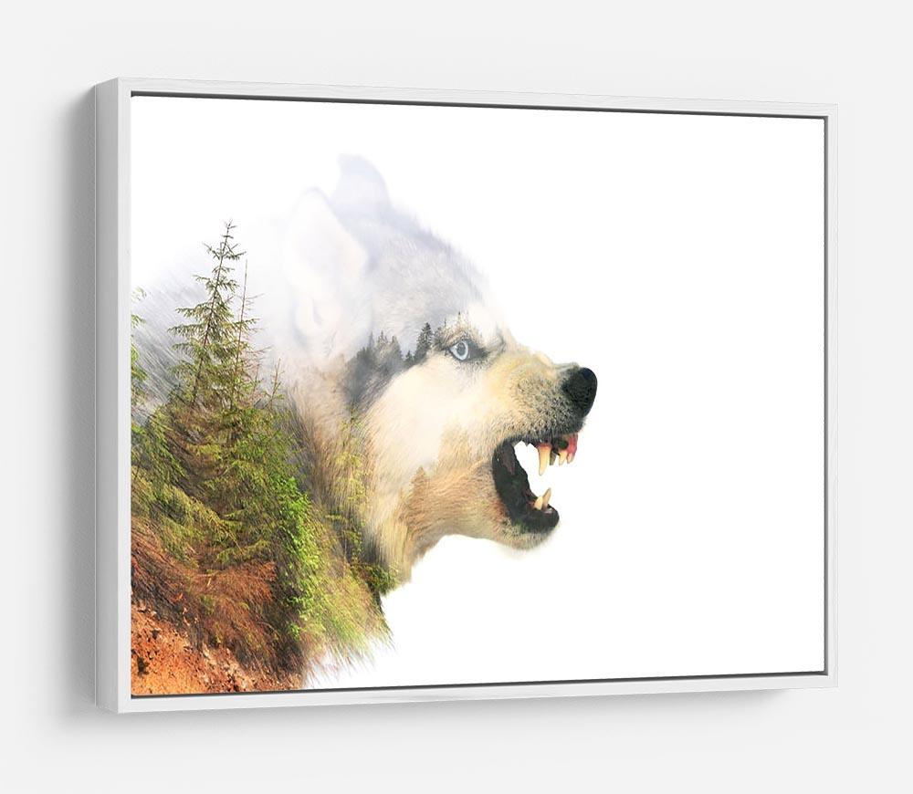 Angry siberian husky dog HD Metal Print - Canvas Art Rocks - 7