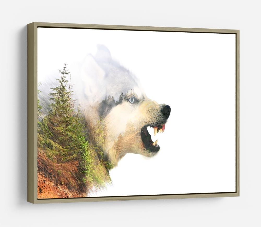Angry siberian husky dog HD Metal Print - Canvas Art Rocks - 8