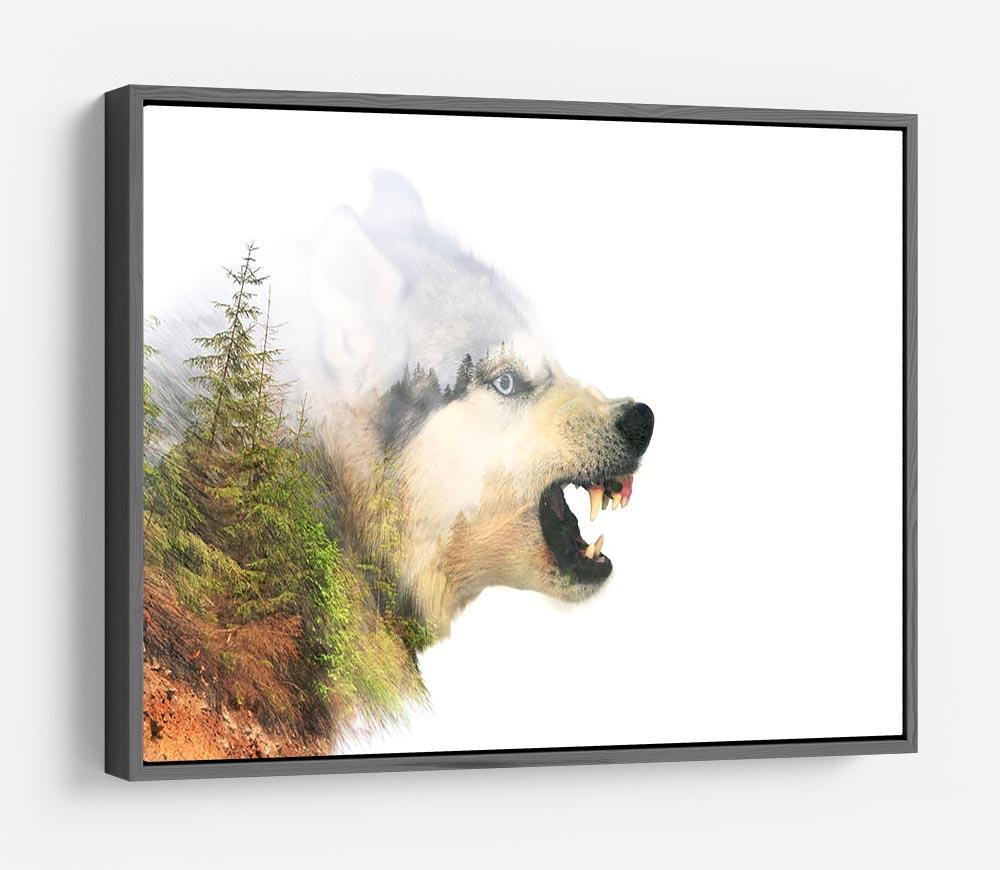 Angry siberian husky dog HD Metal Print - Canvas Art Rocks - 9