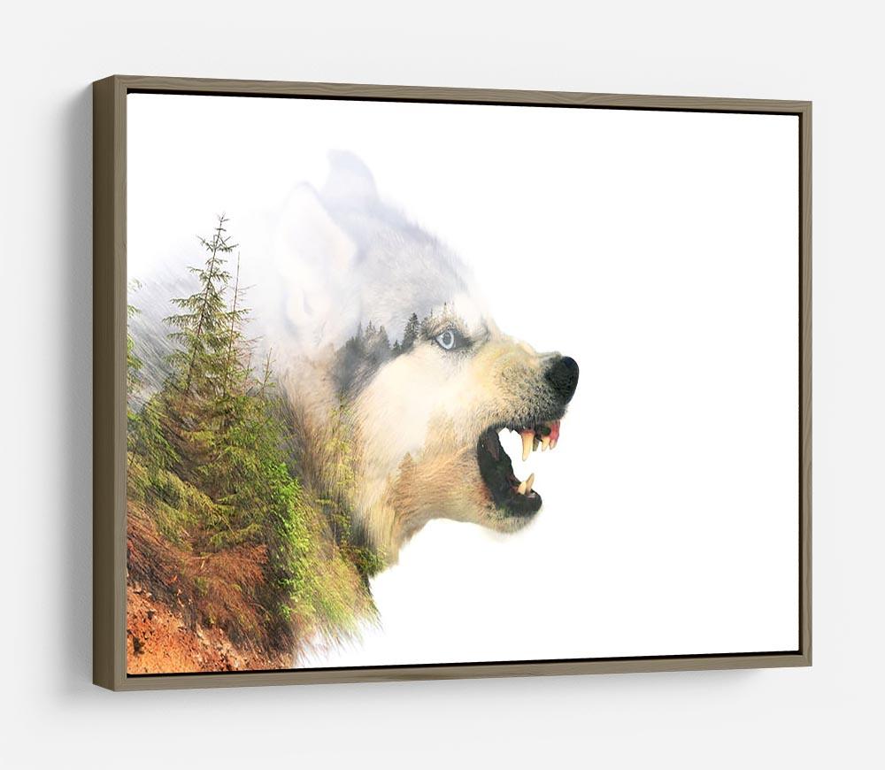 Angry siberian husky dog HD Metal Print - Canvas Art Rocks - 10