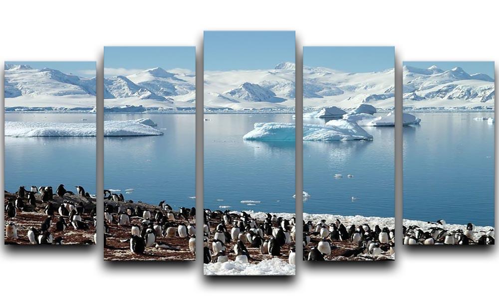 Antarctic penguin group reflection of icebergs Antarctica 5 Split Panel Canvas - Canvas Art Rocks - 1