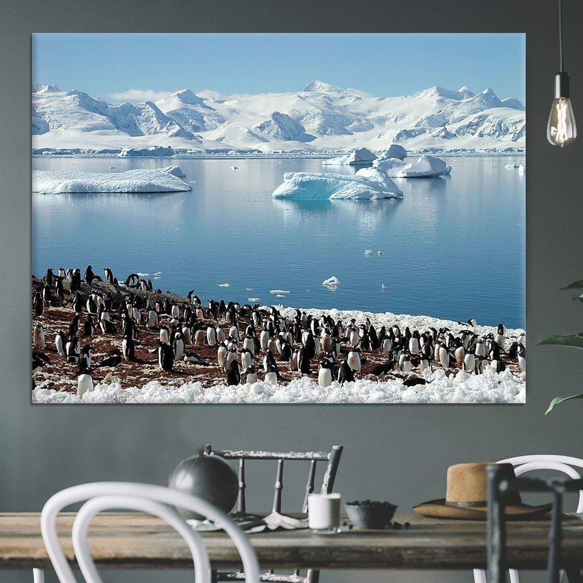 Antarctic penguin group reflection of icebergs Antarctica Canvas Print or Poster