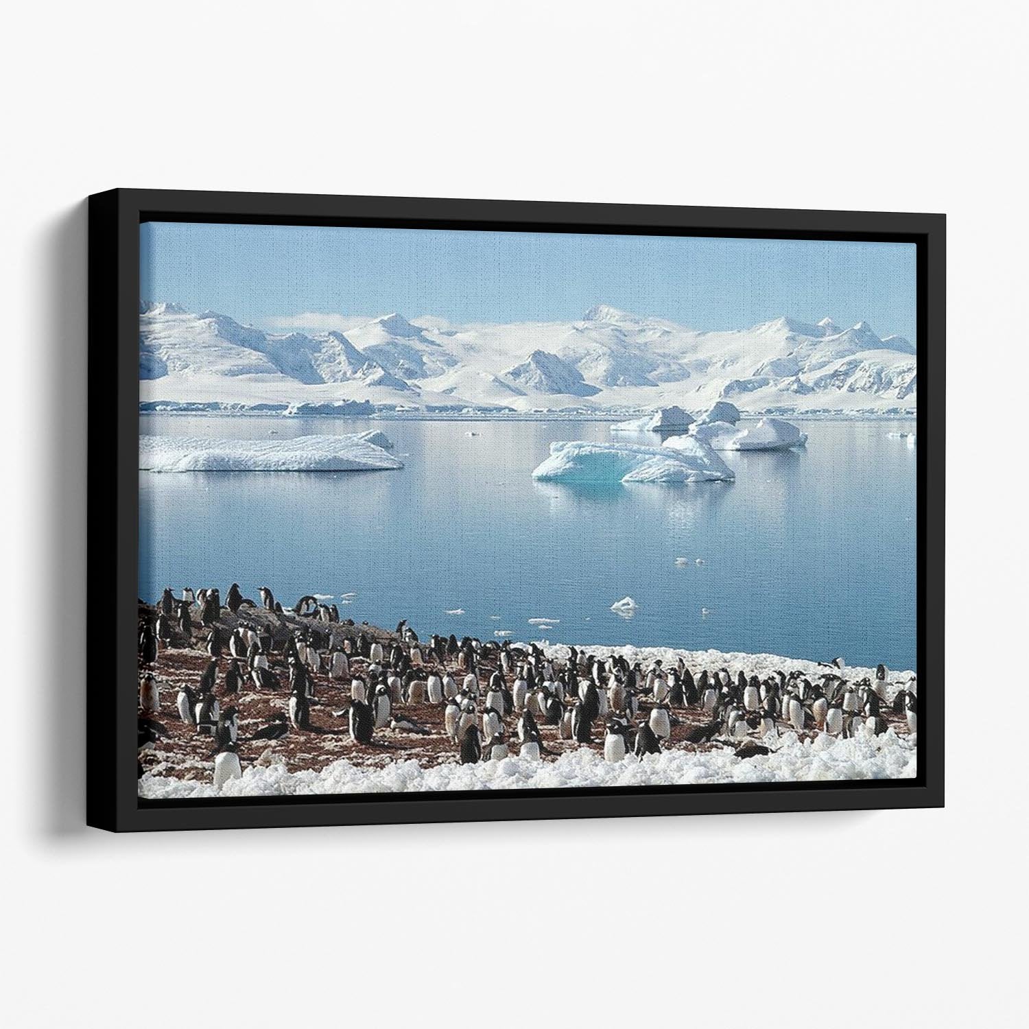 Antarctic penguin group reflection of icebergs Antarctica Floating Framed Canvas - Canvas Art Rocks - 1